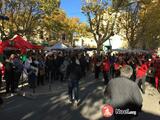 41ème Foire aux Santons et son 27ème Marché de Noël