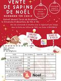 4ème Marché de Noël Artisanal de Bruebach