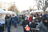 5e Féeries Hivernales de Torcy 2024