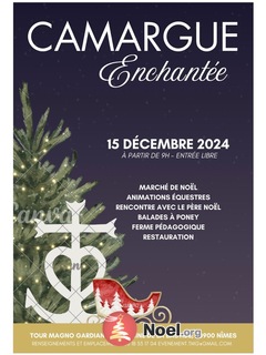 Camargue enchantée