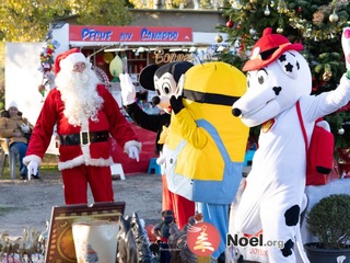 Camargue enchantée, marché de Noël à Nîmes