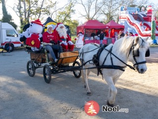 Camargue enchantée, marché de Noël à Nîmes