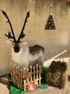 Camargue enchantée, marché de Noël à Nîmes