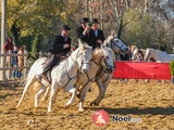 Photo Camargue enchantée, marché de Noël à Nîmes à Nîmes