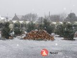 Ch' Marché de Noël de Chés Piots de Cayeux