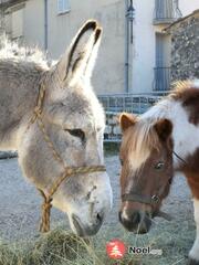 Coursegoules fête Noël