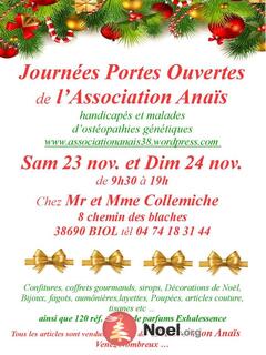 Photo du marché de Noël EXPOSITION NOËL JPO de l'Association Anaïs