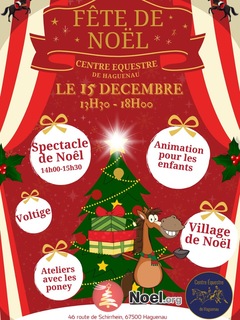 Photo du marché de Noël Fête de Noël