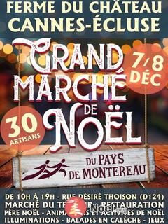 Photo du marché de Noël Grand marche de noel