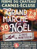 Photo Grand marche de noel à Cannes-Écluse