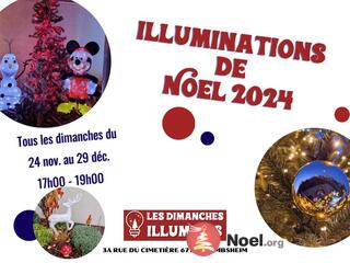 Photo du marché de Noël Illuminations de Noël 2024