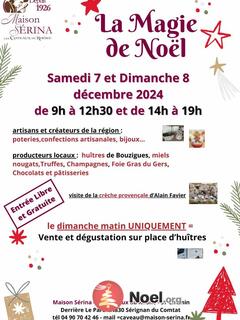 Photo du marché de Noël La magie de noel au caveau de la maison serina