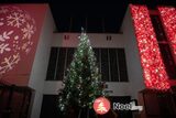 Marché de Noël 2024 de Fontenay-le-Fleury