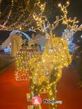 Photo Marché de Noël à Entraigues-sur-la-Sorgue