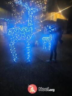 Photo du marché de Noël Marche de noel