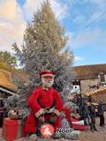 Photo Marche de noel à Janvry