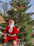 Photo Marche de noel à Janvry