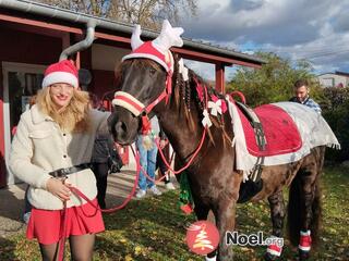 Photo du marché de Noël Marché de Noël