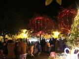 Photo Marché de Noël à Saint-Julien-de-Concelles