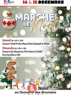 Photo du marché de Noël Marché de noel