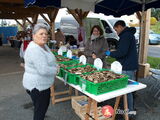 Photo du marché de Noël Marché de Noêl des artisans et producteurs