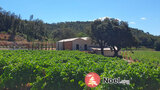 Marché de Noël au château clarettes