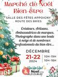 Photo Marché de Noël bien-être à Appoigny