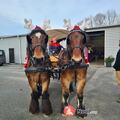 Photo Marché de Noel de Bréauté à Bréauté