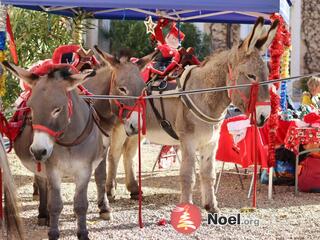 Marché de Noël - Château Pech Céleyran