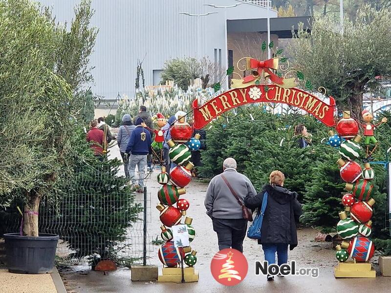 Marché de Noël chez FERRIERE FLEURS (L'Arbresle)