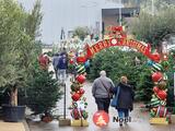 Marché de Noël chez FERRIERE FLEURS (L'Arbresle)