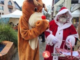 MARCHE DE NOEL des Commerçants