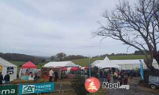 Photo du marché de Noël Marché de Noël du teulet avec concours de bûches patissieres