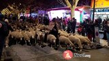 Marché de Noël et Animations