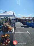 Photo Marché de Noël des Explorateurs à Vias