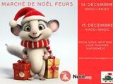 Photo Marché de Noël de Feurs à Feurs