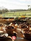 Marché de Noël à La Cabane à Plantes Sennevières (37)