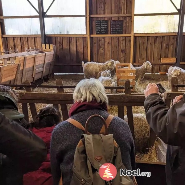 Marché de Noël à la ferme et Portes ouvertes