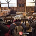 Marché de Noël à la ferme et Portes ouvertes