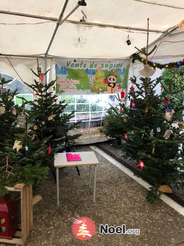 Marché de Noël de Saint Aubin-Château-Neuf