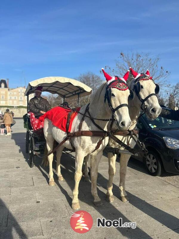 Marché de noël St Georges de Reneins