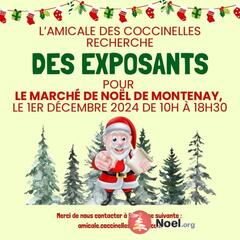 Photo du marché de Noël Montenay fête Noël