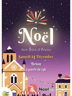 Photo du marché de Noël Noël aux Bois d'Anjou