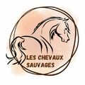 les chevaux sauvages 38